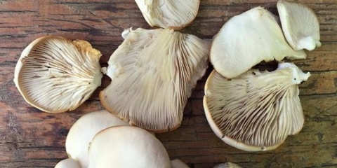 Bukovače: kako očistiti i oprati prije jela